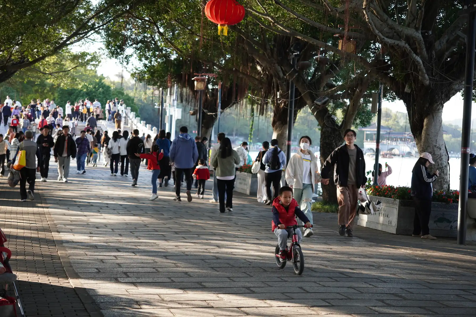 kid on a bike