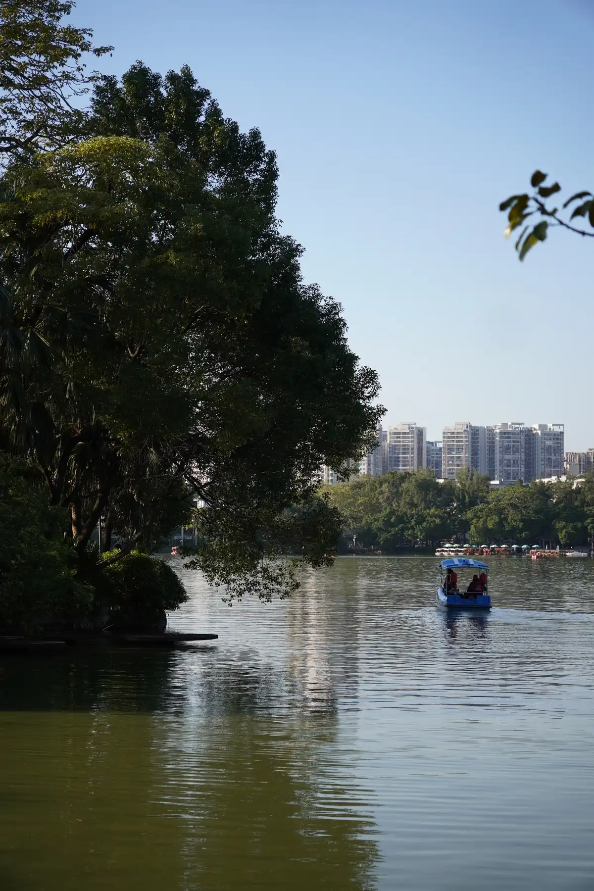 boat in the lake